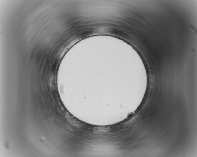 X0000103911145200810171659