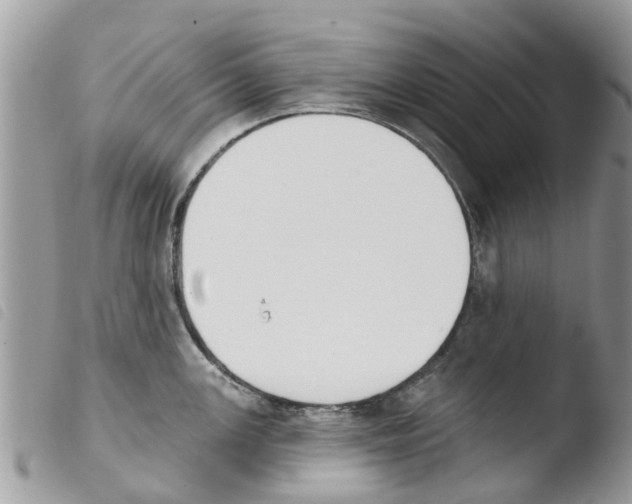 X0000103911147200810171659