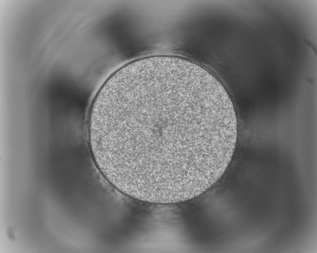 X0000103911148200810171659