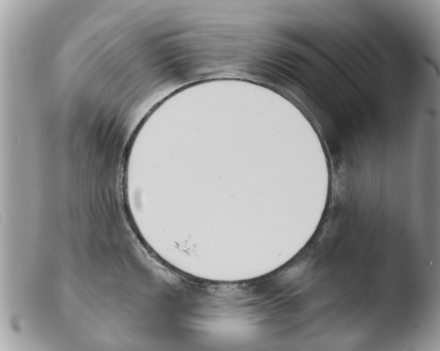 X0000103911149200810171659