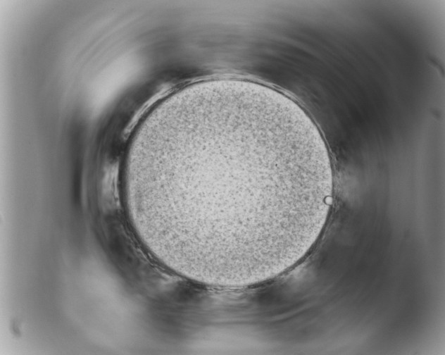 X0000103911150200810171659