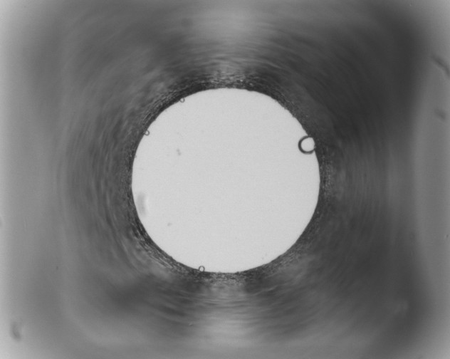 X0000103911153200810171659