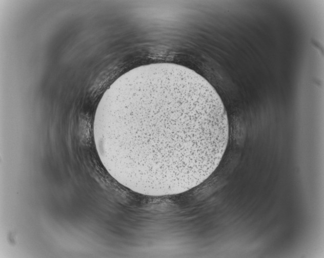 X0000103911154200810171659