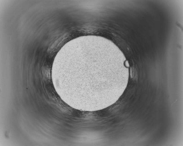 X0000103911155200810171659