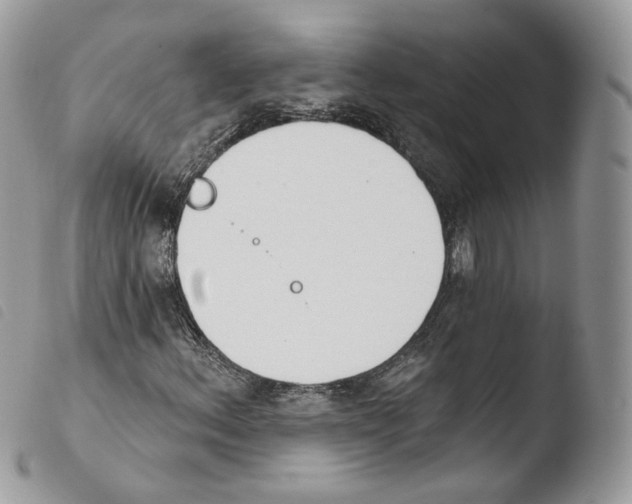 X0000103911156200810171659
