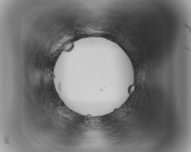 X0000103911157200810171659