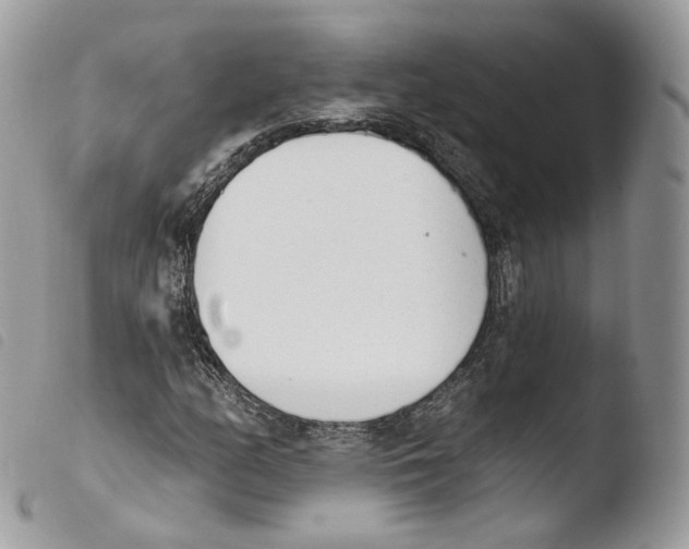 X0000103911158200810171659