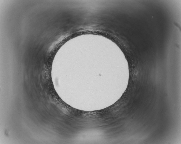X0000103911159200810171659