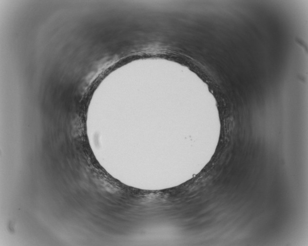 X0000103911160200810171658