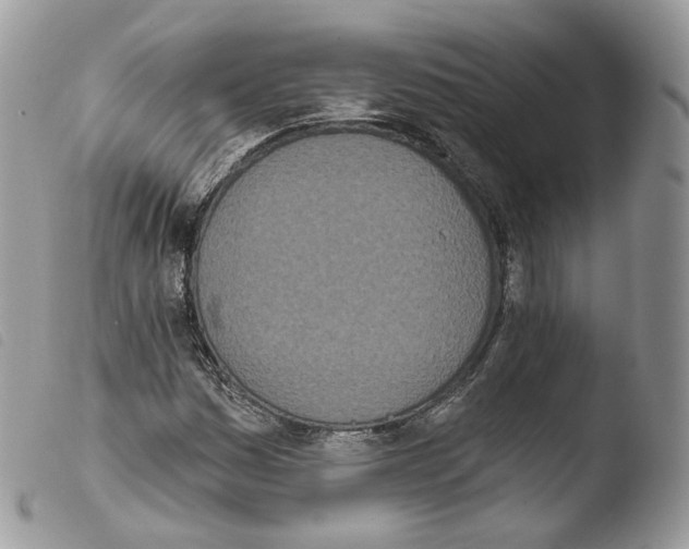 X0000103911161200810171658