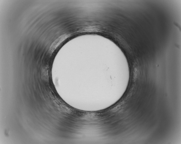X0000103911162200810171658