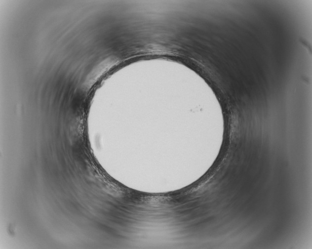 X0000103911163200810171658