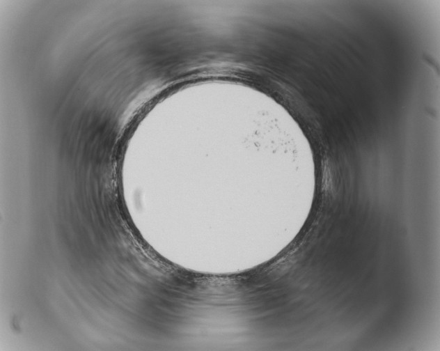 X0000103911164200810171658