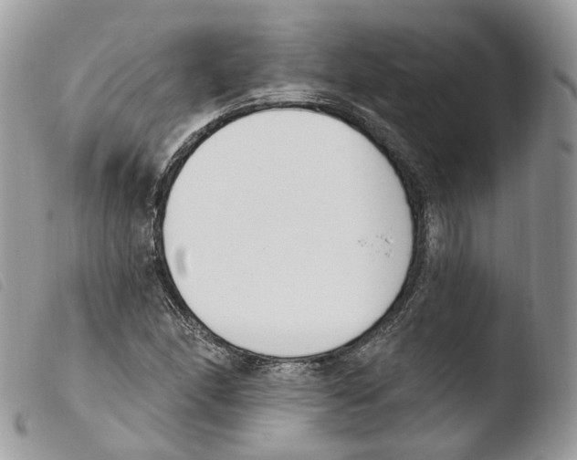X0000103911166200810171658