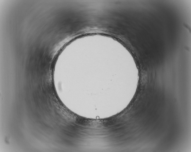 X0000103911167200810171658