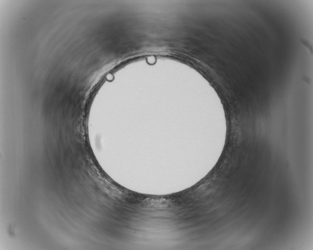 X0000103911168200810171658