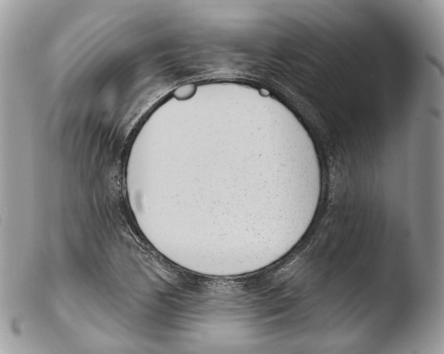 X0000103911170200810171658