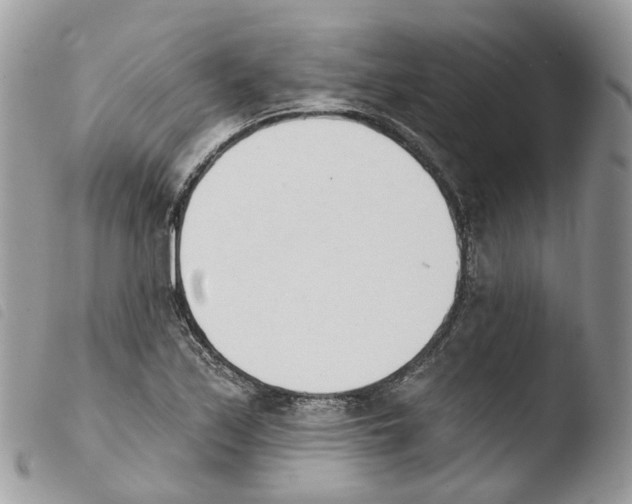 X0000103911171200810171658