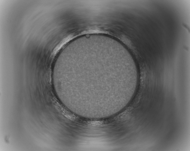 X0000103911173200810171658