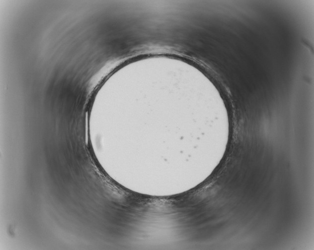 X0000103911175200810171658