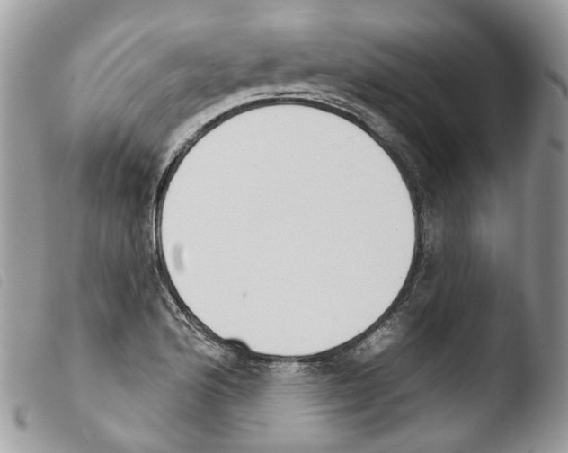 X0000103911176200810171658