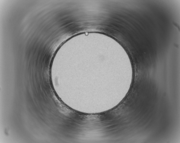X0000103911181200810171658