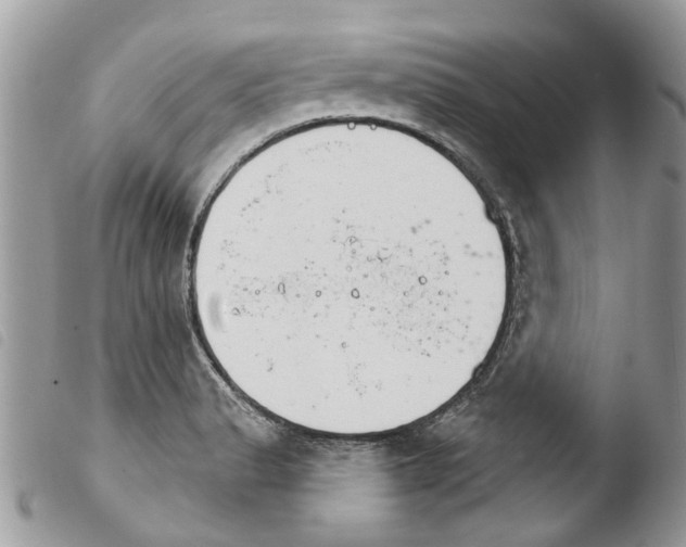 X0000103911183200810171658