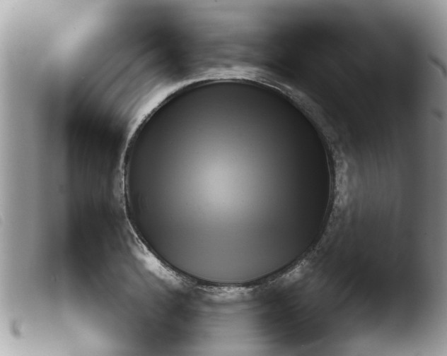 X0000103911184200810171658