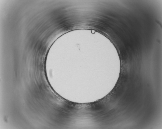 X0000103911187200810171658