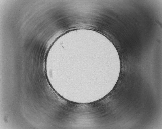 X0000103911188200810171658