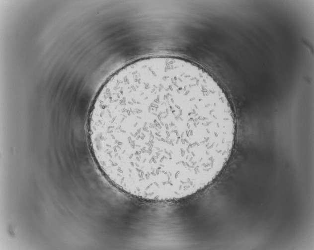 X0000103911189200810171658