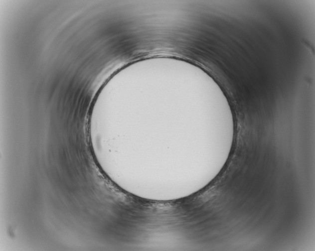 X0000103911190200810171658