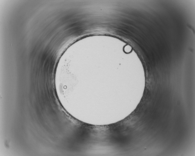 X0000103911191200810171658