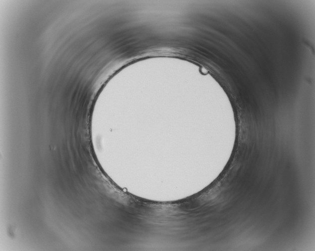 X0000103911192200810171658