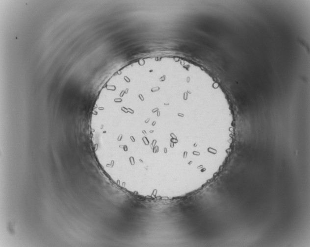 X0000103911193200810171658