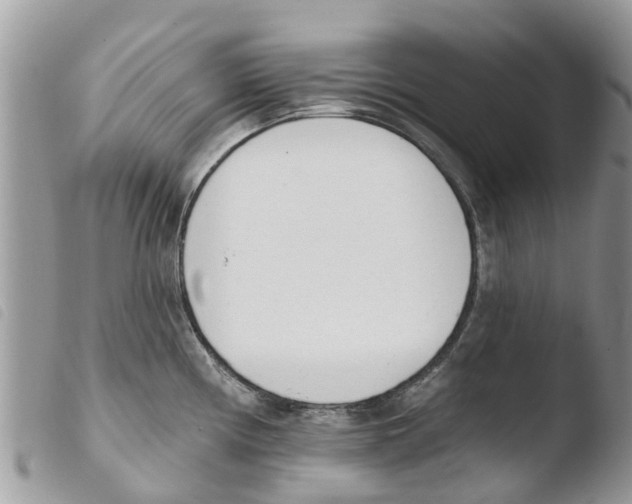 X0000103911194200810171658