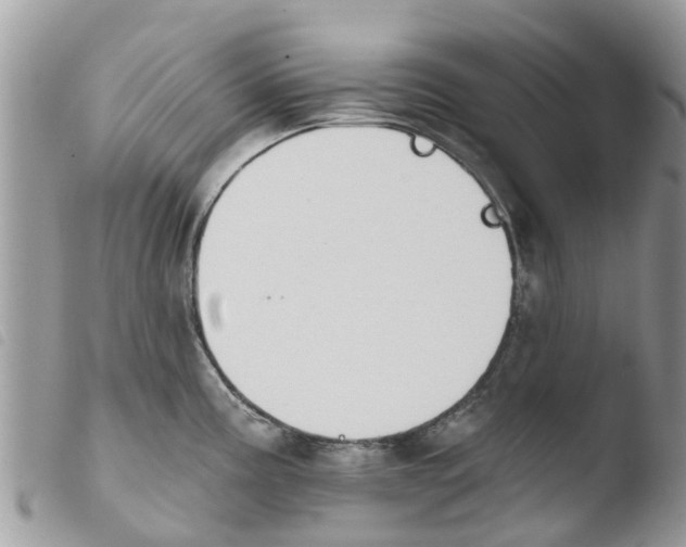 X0000103911195200810171658