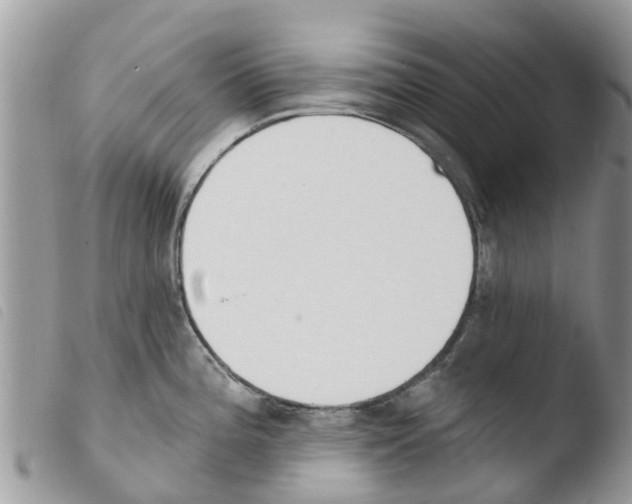 X0000103911196200810171658
