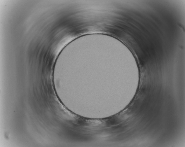 X0000103911197200810171658