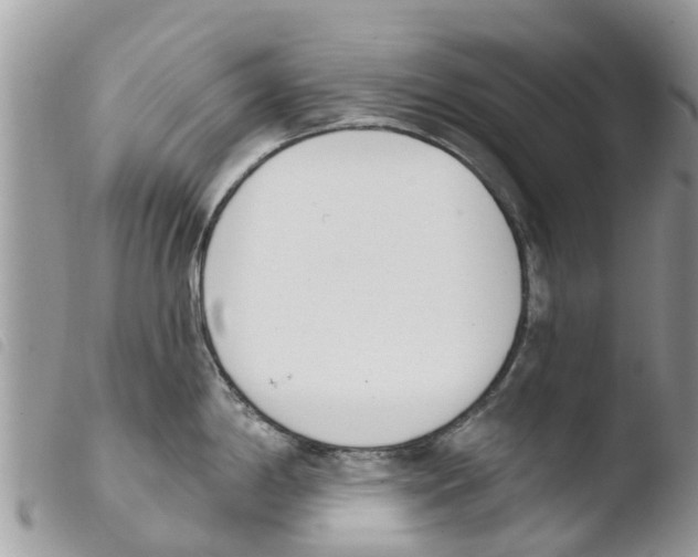 X0000103911198200810171658