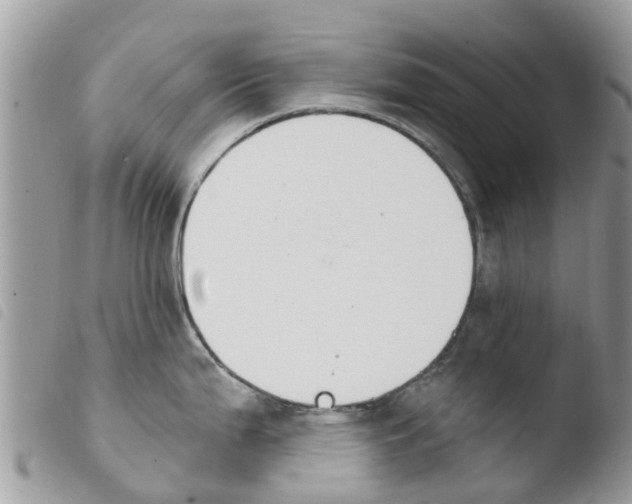 X0000103911199200810171658