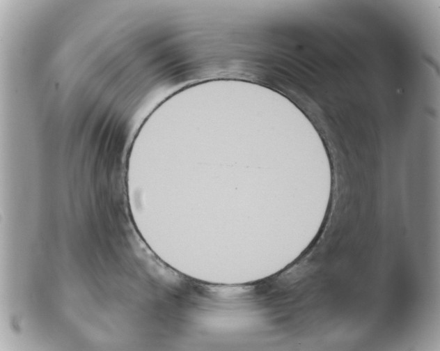 X0000103911200200810171658