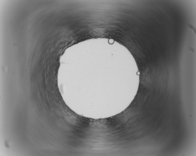 X0000103911201200810171657