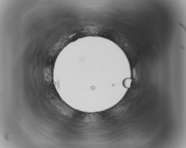 X0000103911203200810171657