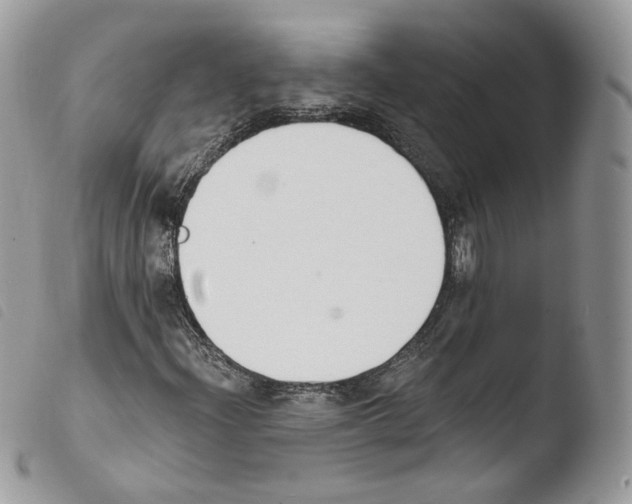 X0000103911204200810171657