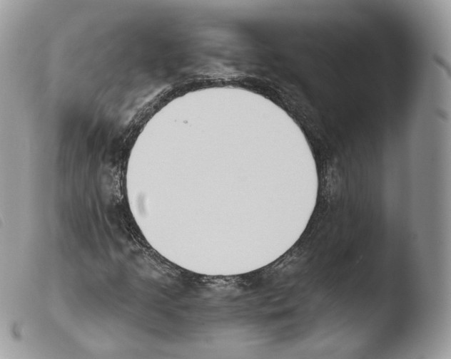 X0000103911205200810171657
