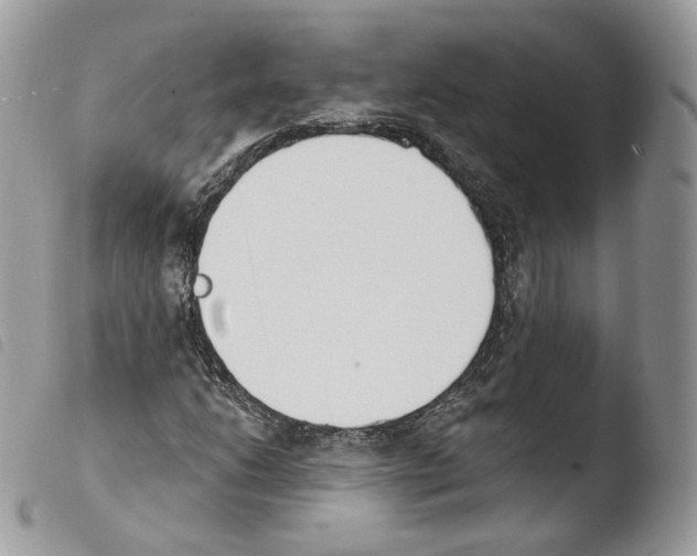 X0000103911206200810171657