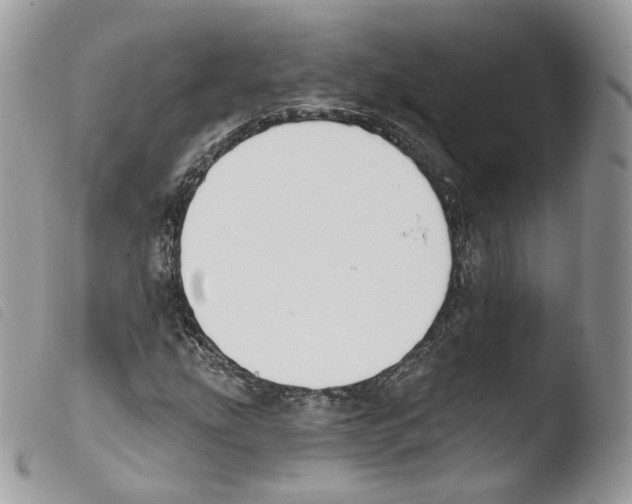 X0000103911207200810171657