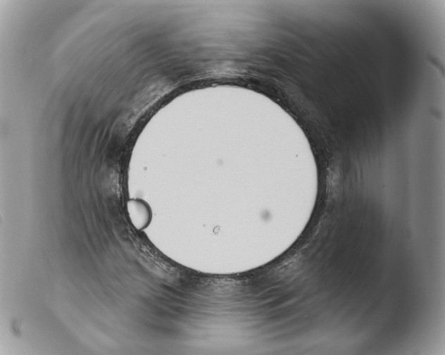 X0000103911209200810171657