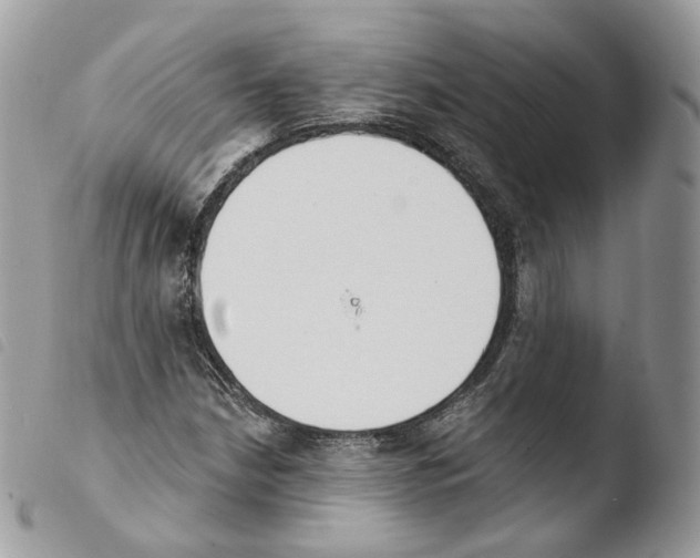 X0000103911210200810171657